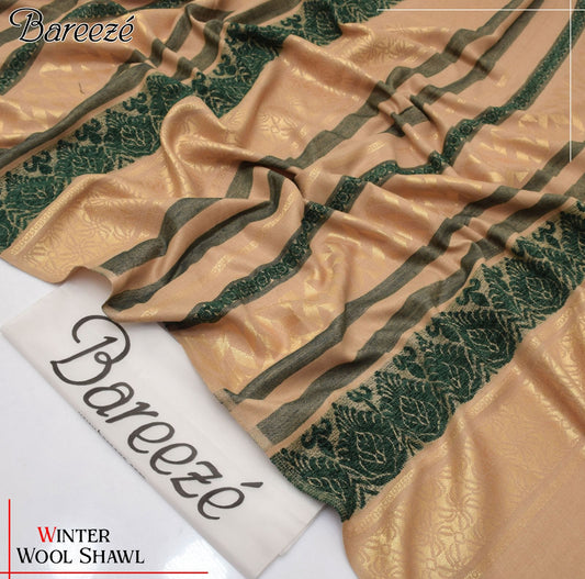 Ladies shawl Fabric Indian bnarsi velvet
