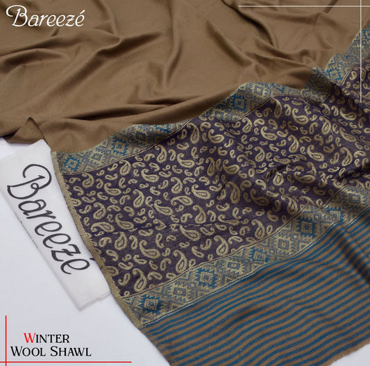 Ladies shawl Fabric Indian bnarsi velvet